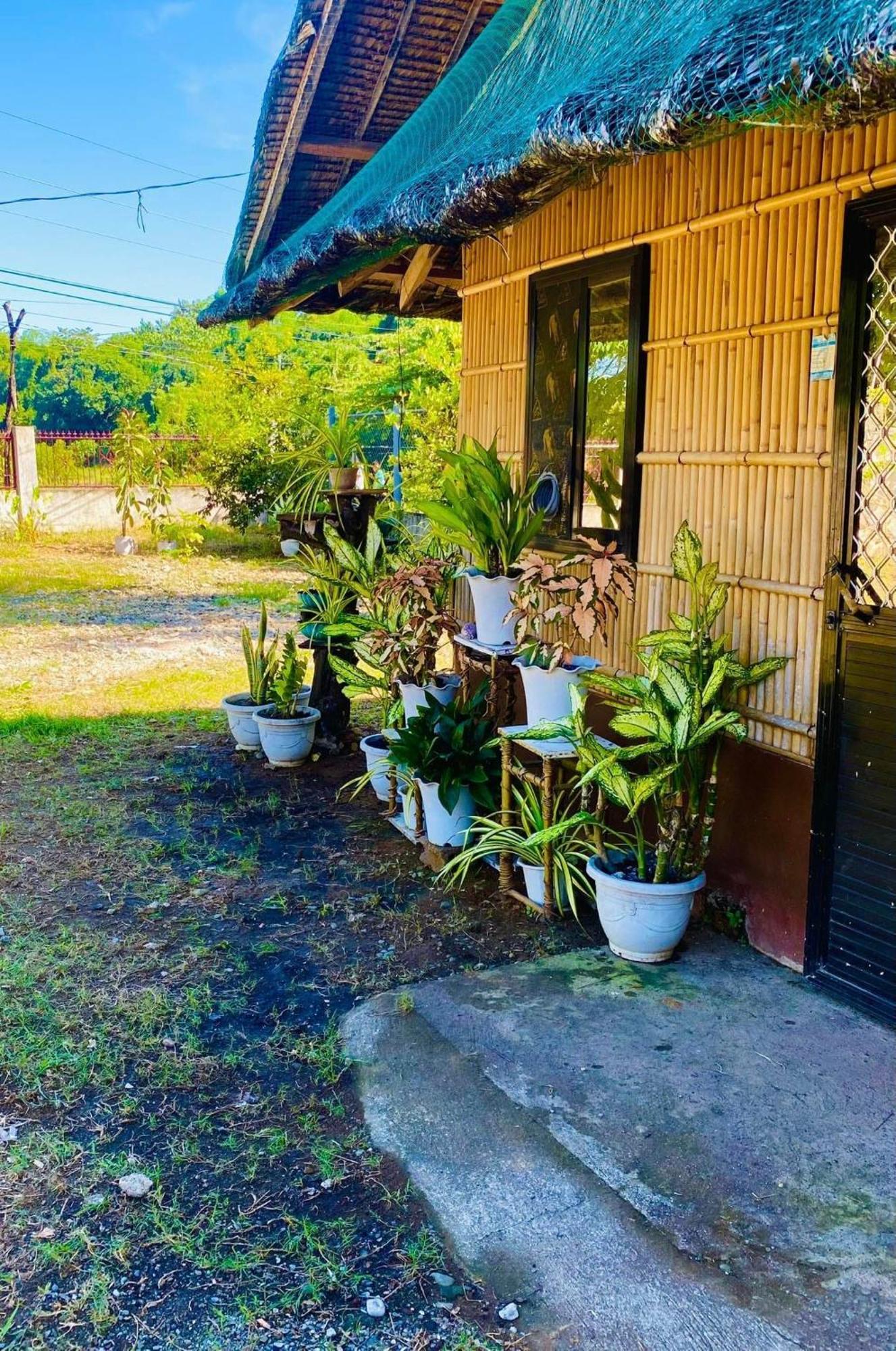 Casa De Flores Alaminos Extérieur photo